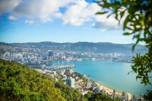 Look out over Wellington from Mt Victoria lookout