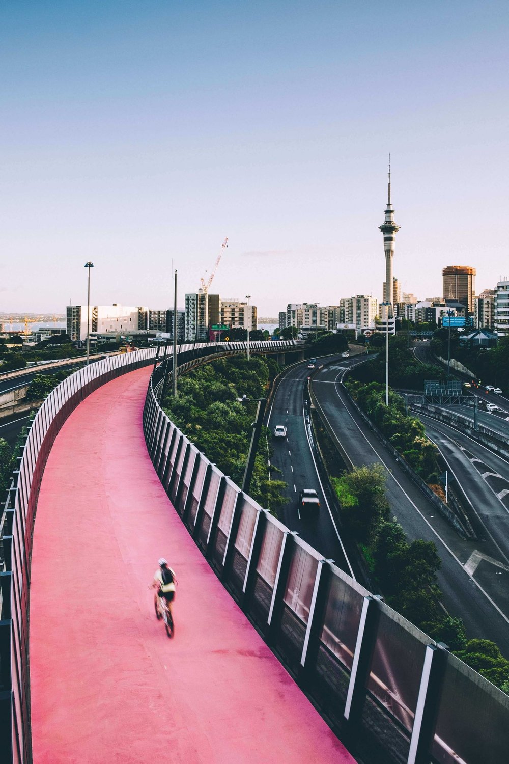Cycling in Auckland